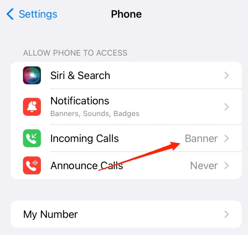 How to Get Full Screen for Incoming Calls on iPhone 14 Pro  - 7