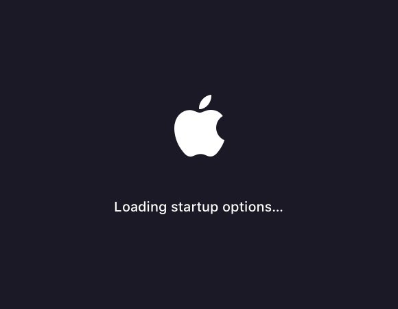 Loading startup options