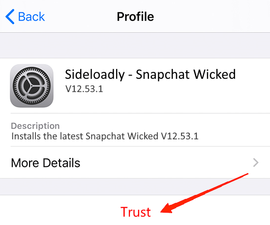 Locate the Developer Certificate and tap on the Trust option