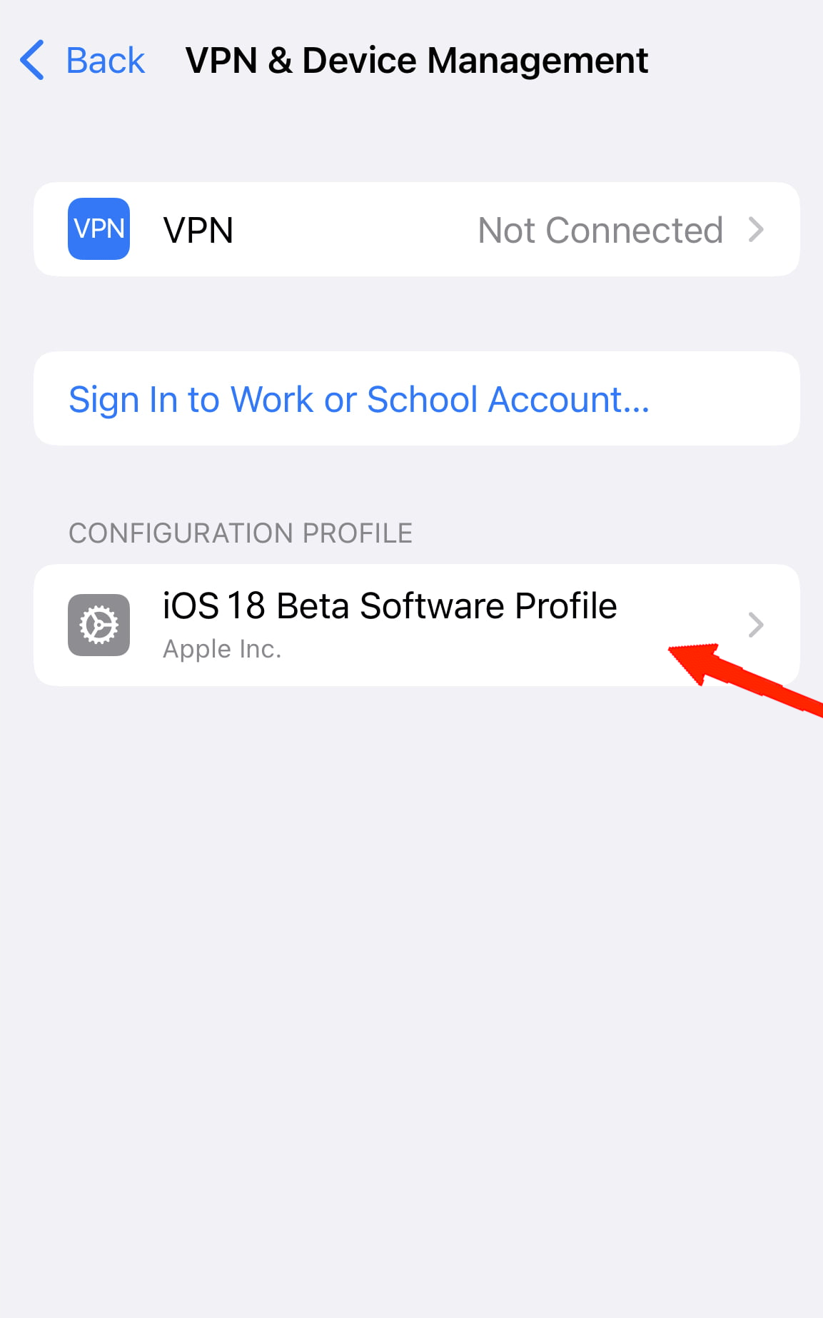 Locate the iOS 18 beta profile and tap on it.