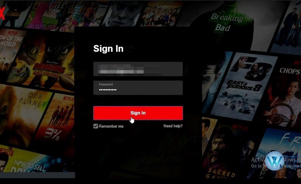 Login with Netflix ID and Password