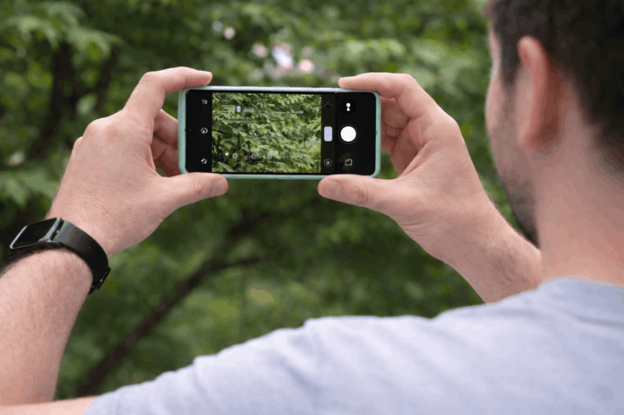 Man photographing lush greenery with smartphone 