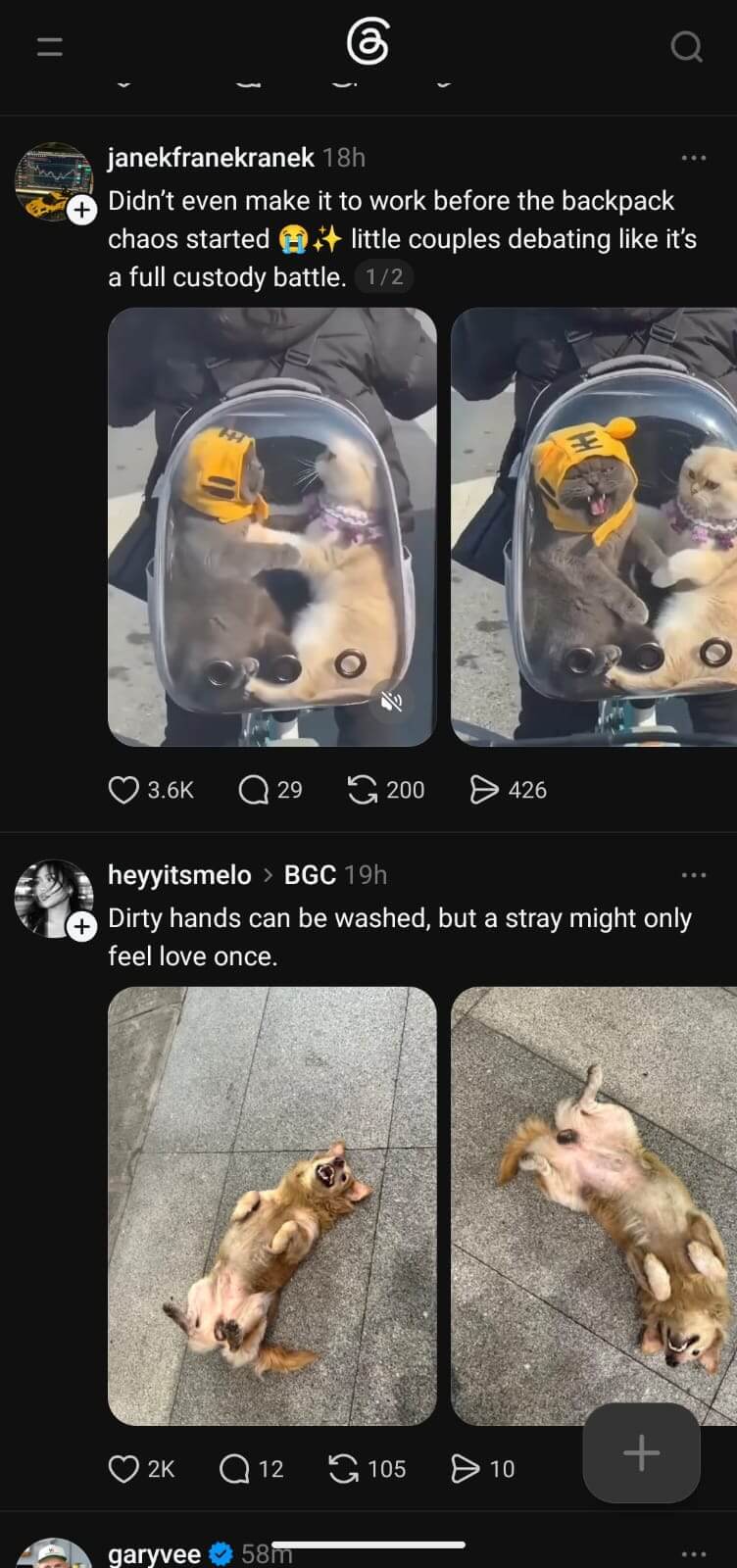 Meta newsfeed