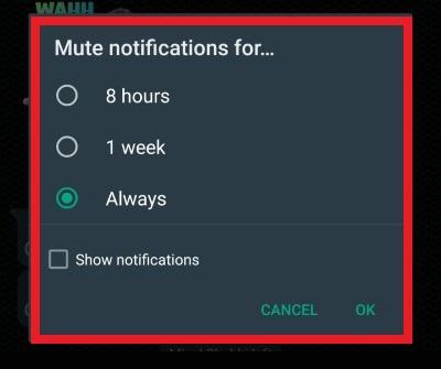 Mute Notifications for..