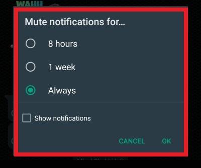 How to Hide Group Notifications on WhatsApp    DigitBin - 20