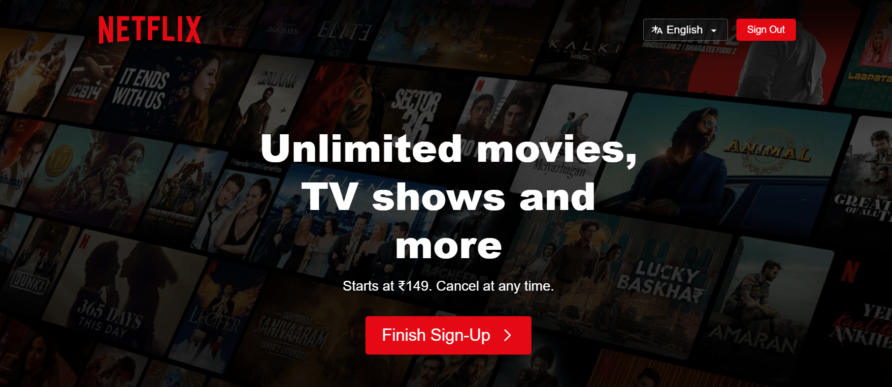 Netflix official platform