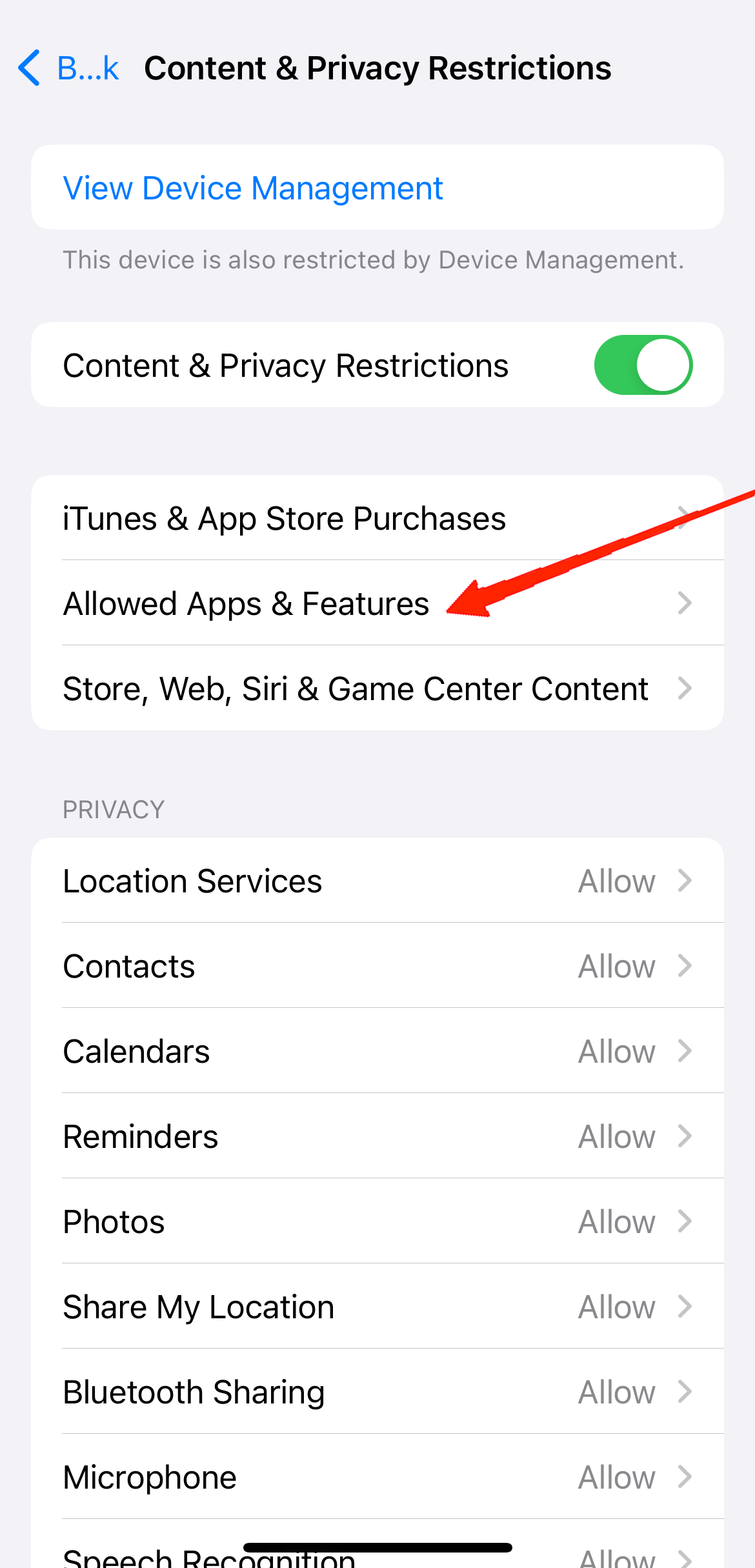Next, tap on 'Allowed apps'.