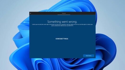 OOBESETTINGS Error Windows 11 Fix