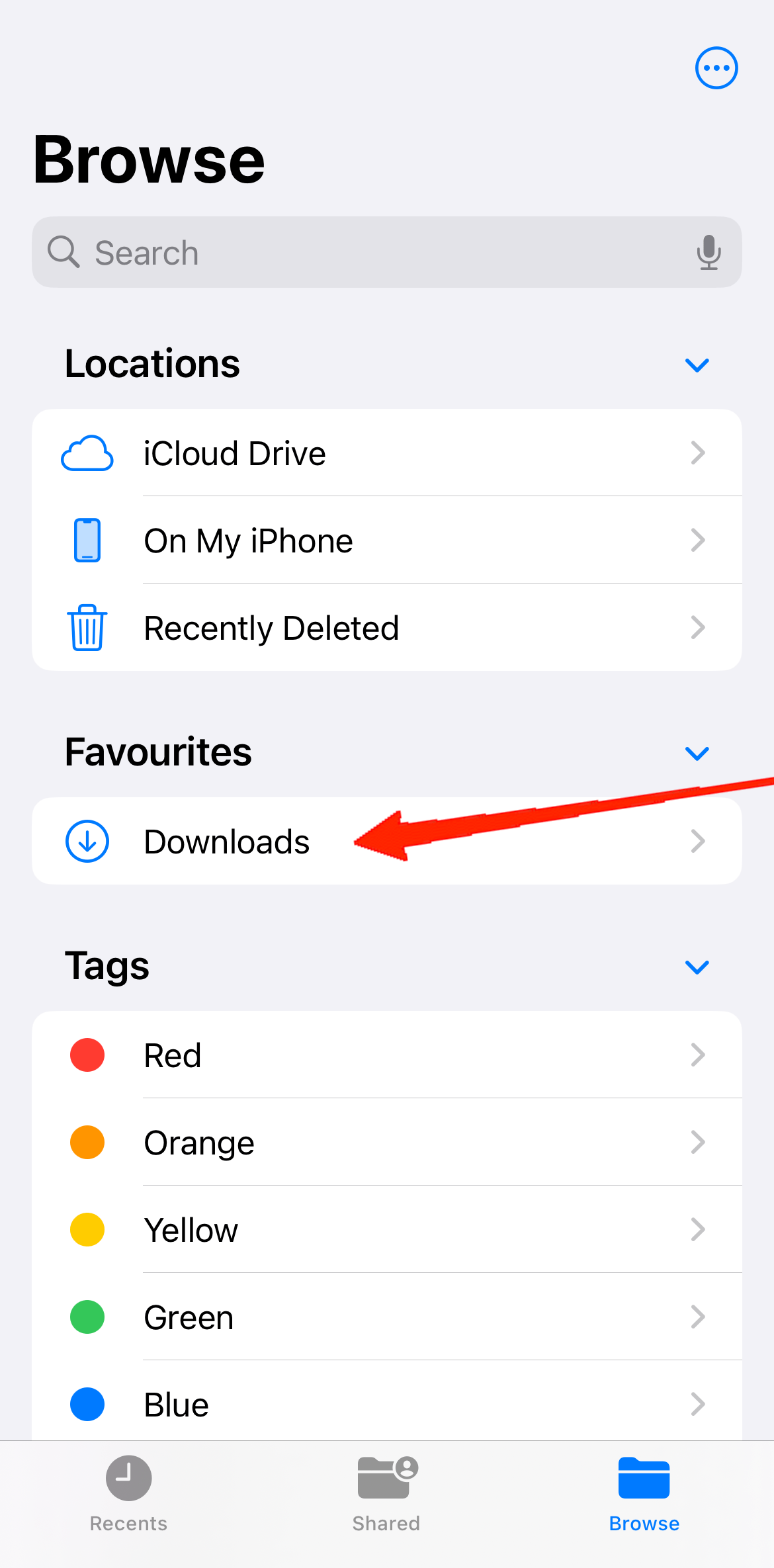 Open the Files app and navigate to the downloads section.