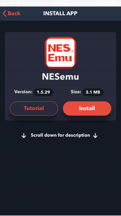 How to Install NES Emulator on iPhone    DigitBin - 71