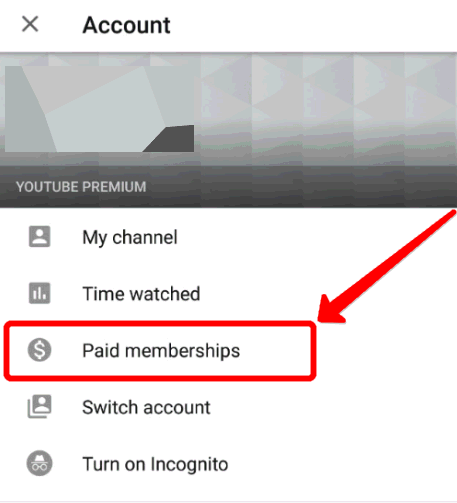 Paid Memberships