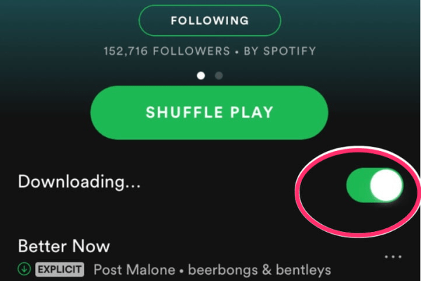 how to download music on spotify without premium
