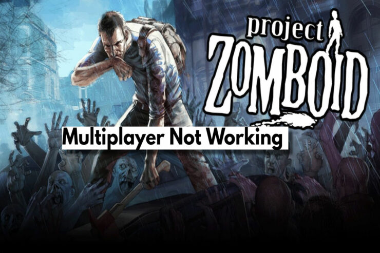 Fix: Project Zomboid Multiplayer Not Working