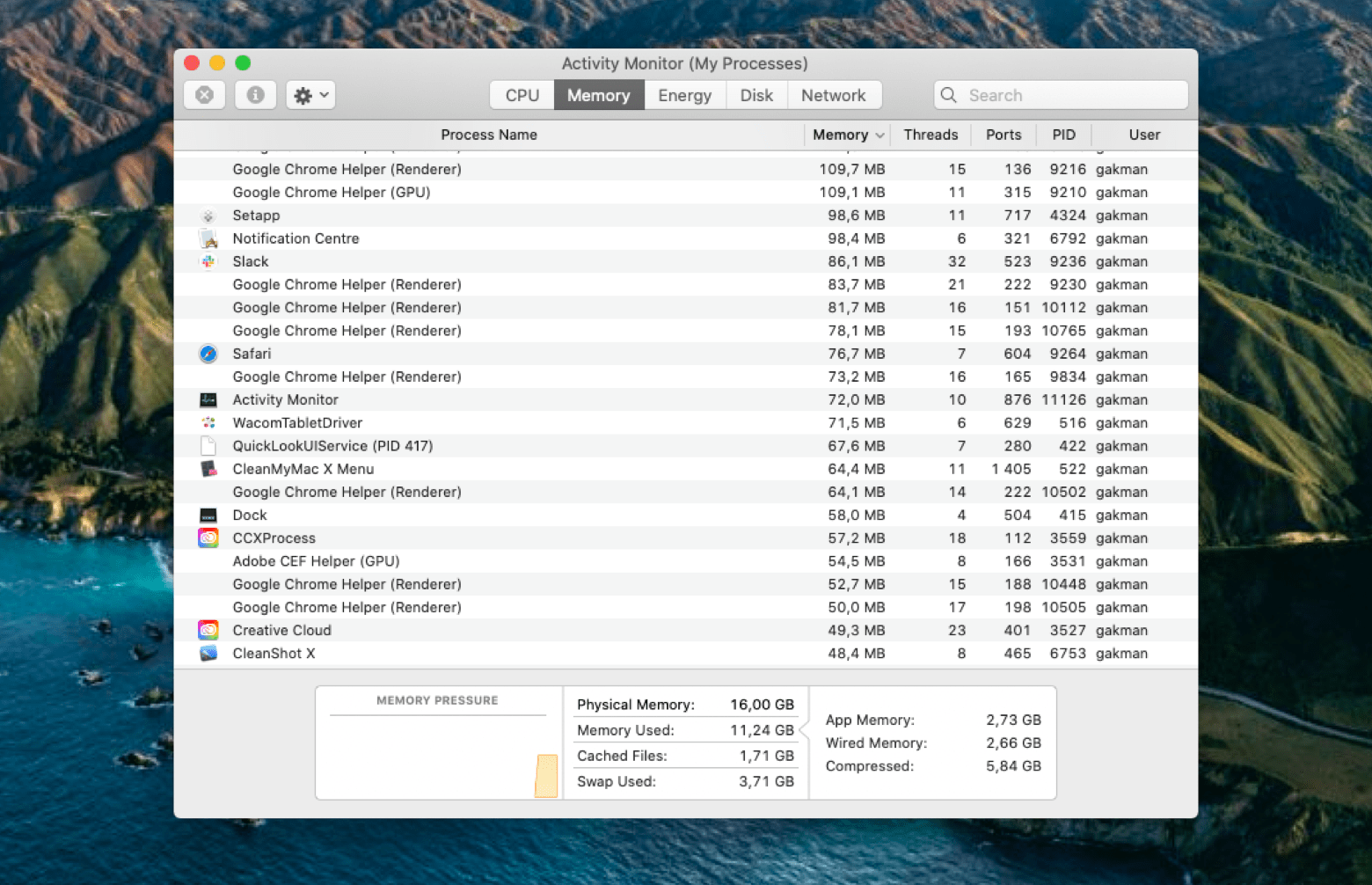 RAM Usage Macbook