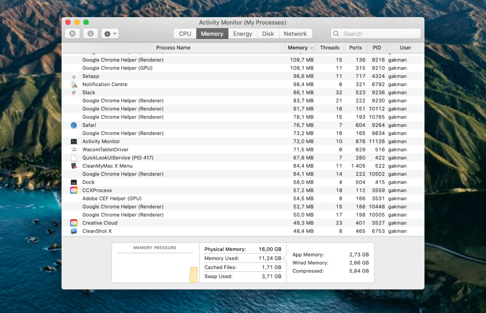 mac os memory usage monitor