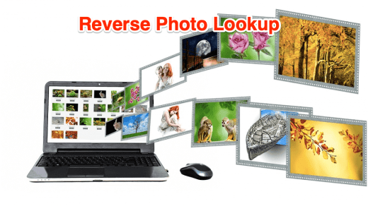 Reverse Photo Lookup
