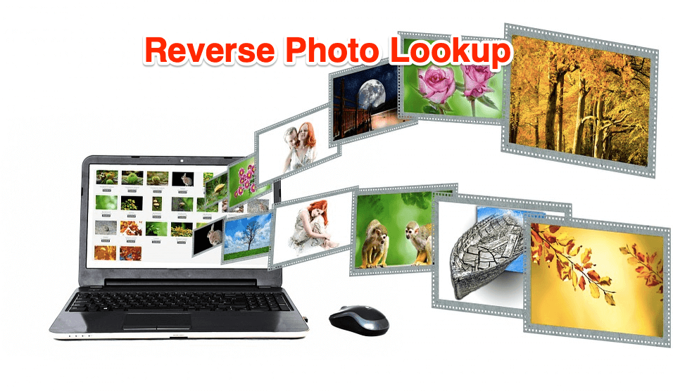 Reverse Photo Lookup