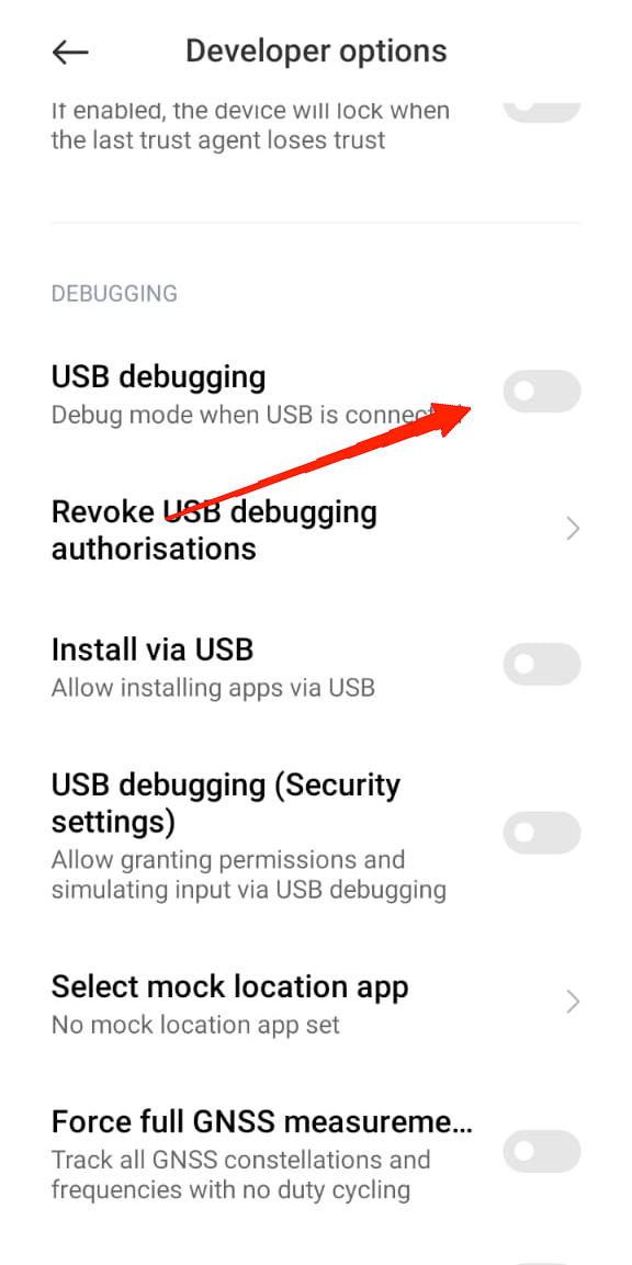 Scroll down and enable the toggle beside USB Debugging.