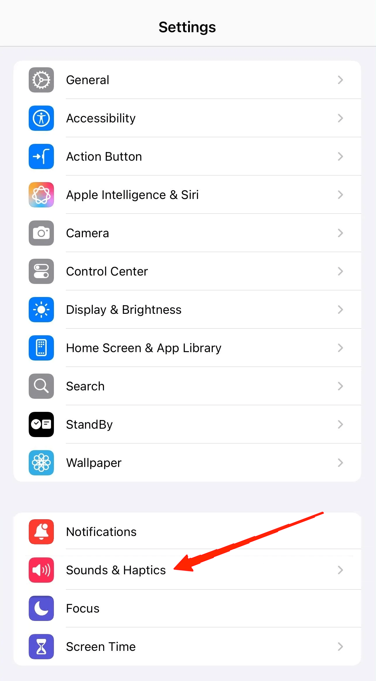 Scroll down and tap on Sound & Haptics.