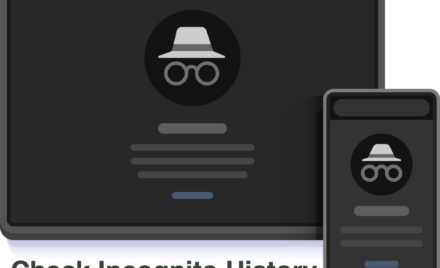 See Incognito History for Chrome PC