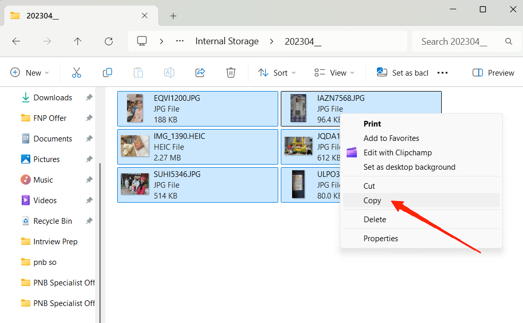 Select the files you want to transfer and copy them to your preferred location on the PC. If you want to take a complete backup, you may select all files and copy them to your computer.