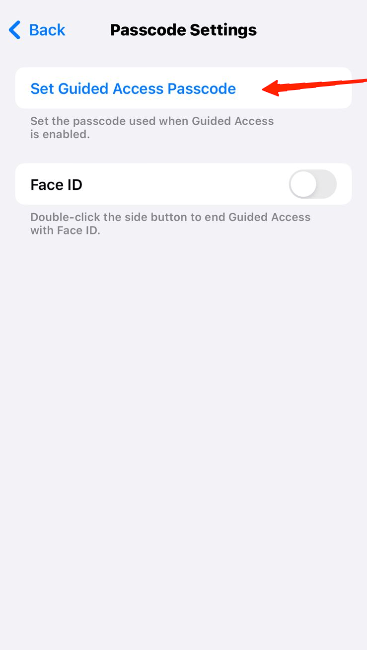 Set Guided Access Passcode