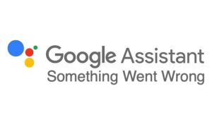 download something went wrong google play