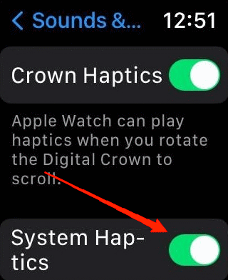 enable the System Haptics option