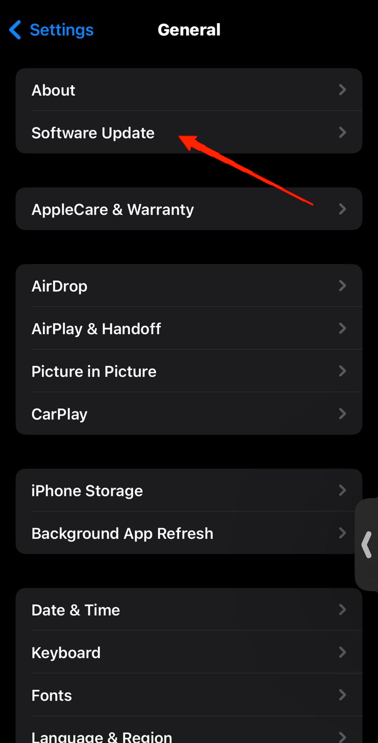 Tap on General and select Software Update.