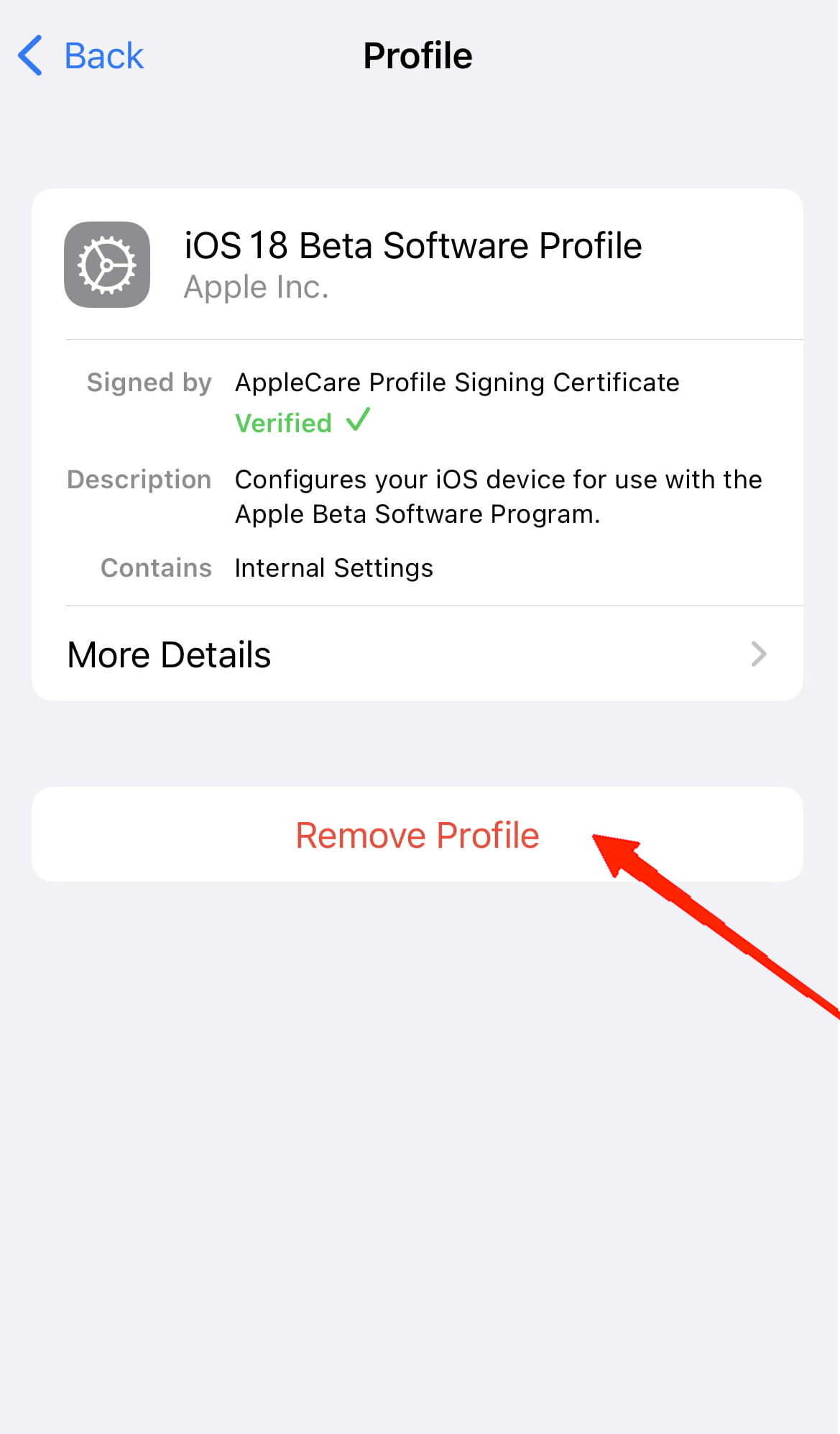 Tap on Remove Profile and select Remove Profile again for confirmation.