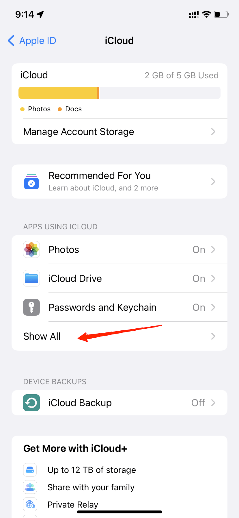 Tap on 'Show All' under the 'Apps using iCloud' section.