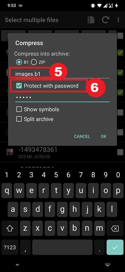 To protect this archive behind a password, ensure to check the “Protect with password” button