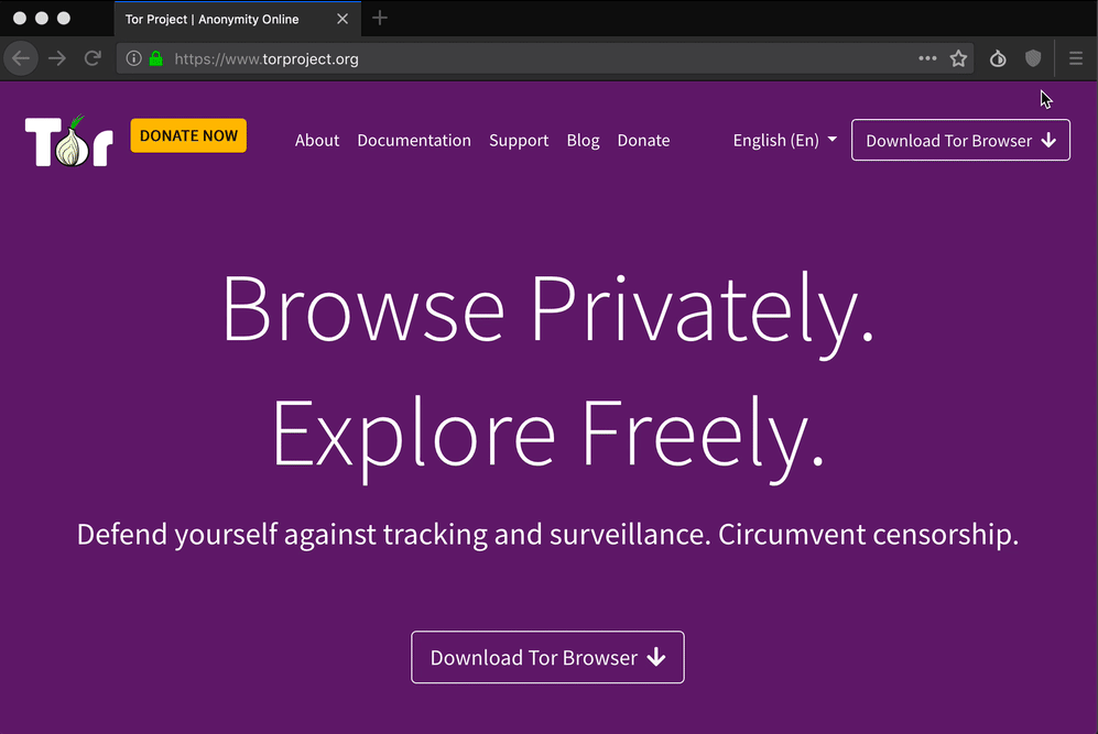 Tor browser