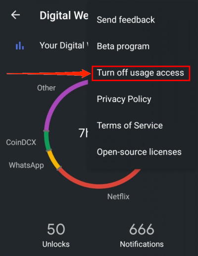 digital wellbeing turn off usage access