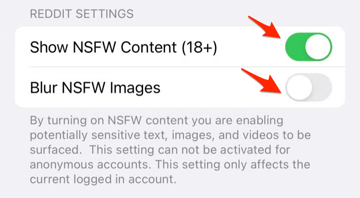 Turn on the switch next to Show NSFW Content (18+)