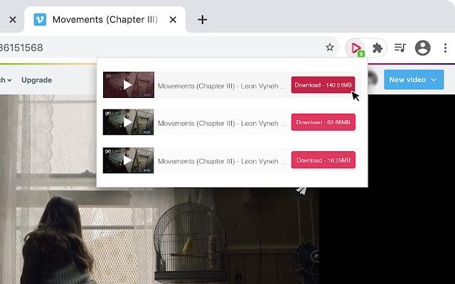 video downloader professional chrome extension