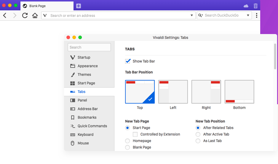 Vivaldi Browser Interface