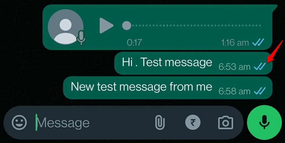 WhatsApp message double blue tick
