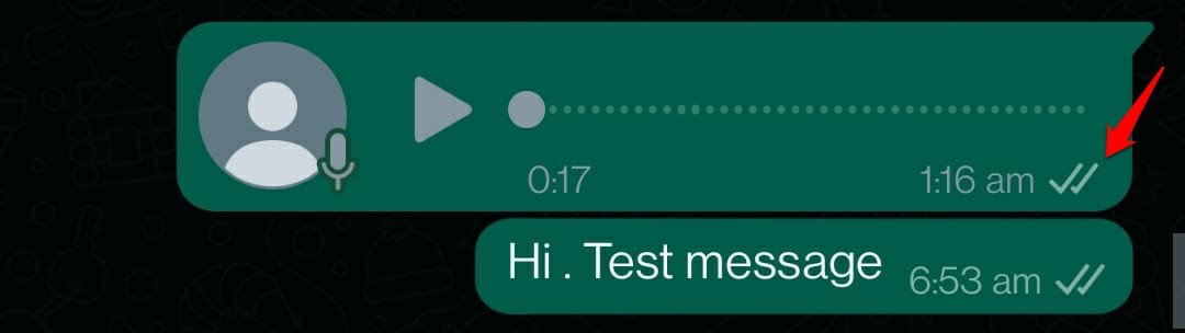 WhatsApp message double grey tick meaning
