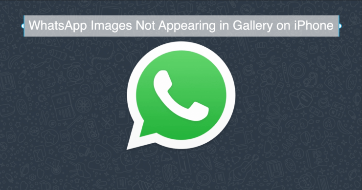WhatsApp Images Not Appearing in Gallery on iPhone