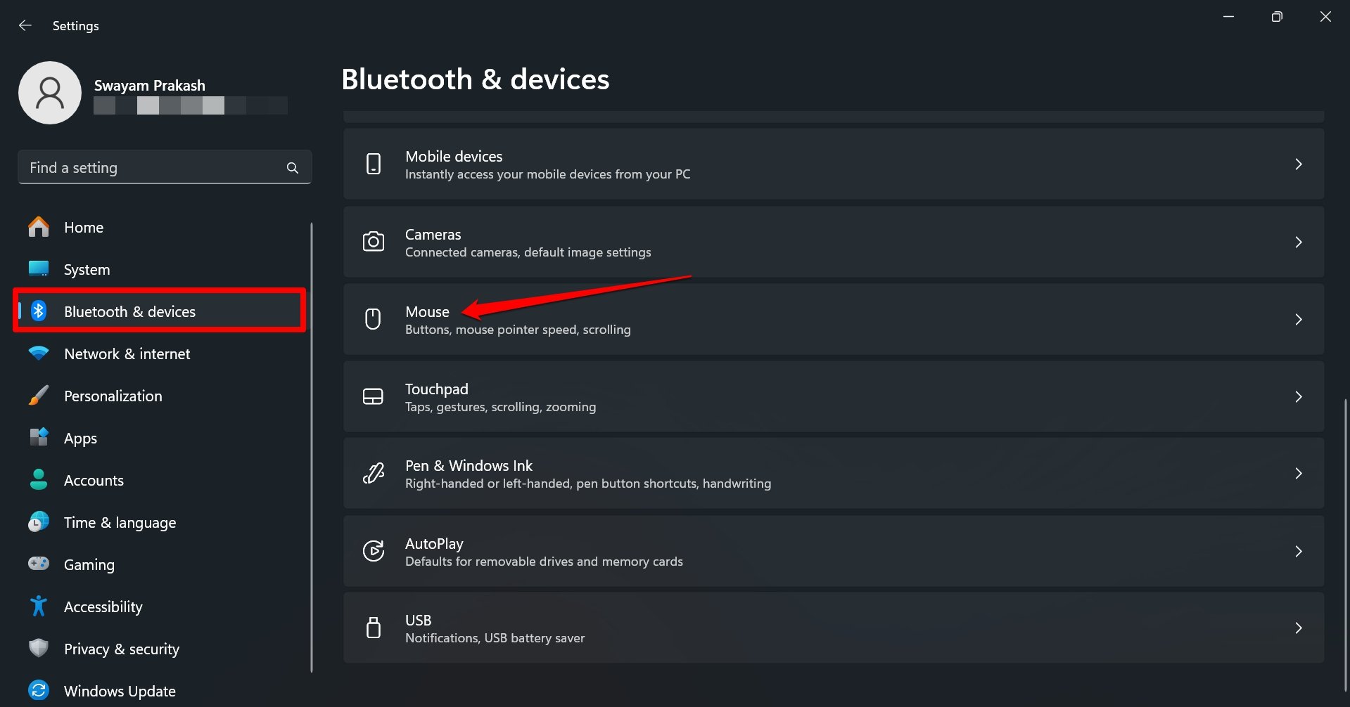 Windows 11 mouse settings