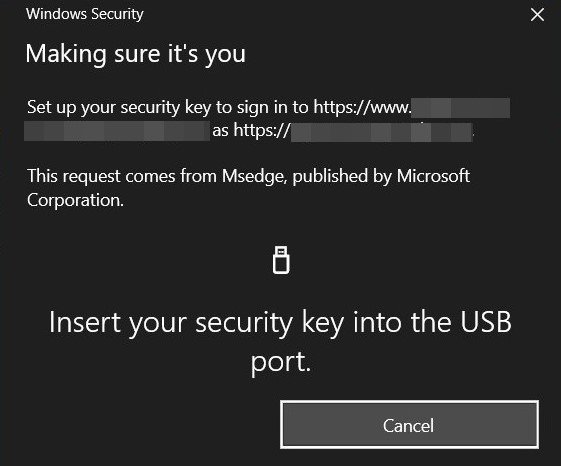 Windows Security Key