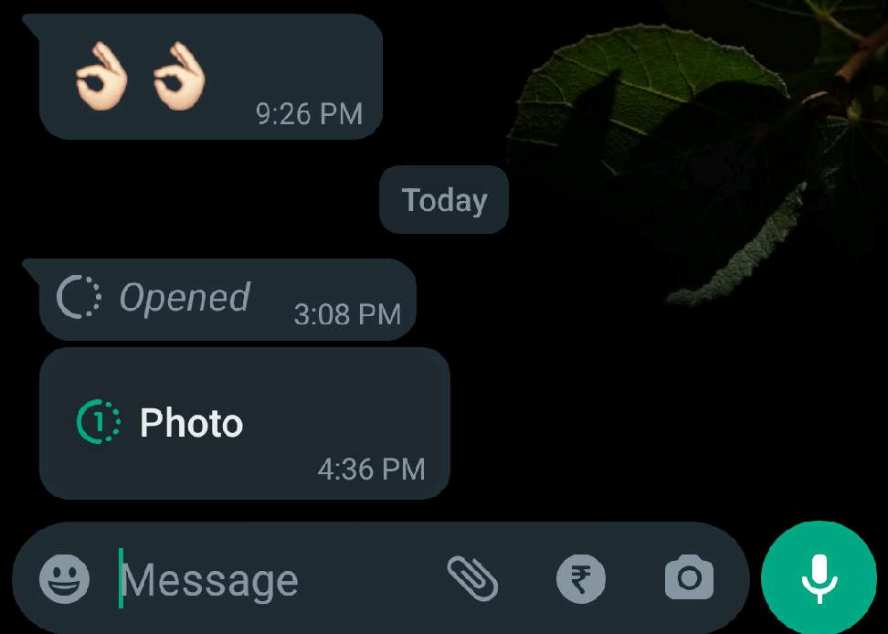 Как сделать снимок экрана после просмотра фотографии в WhatsApp? 3