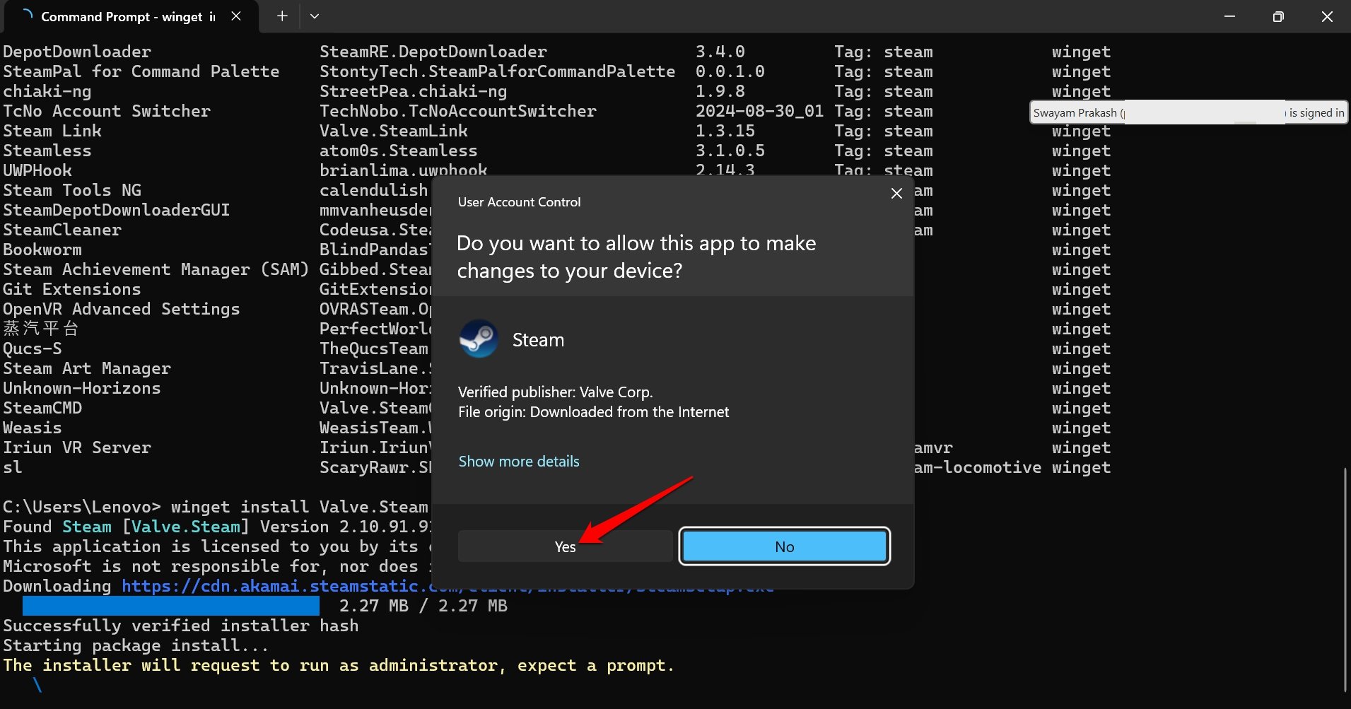 accept steam to install through Winget