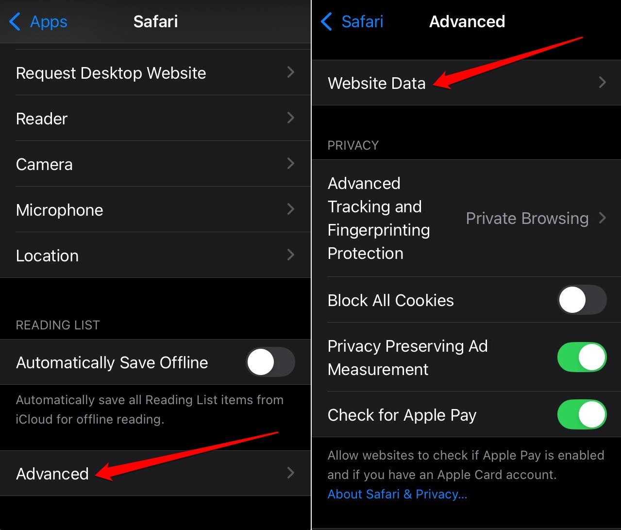 access Safari website data