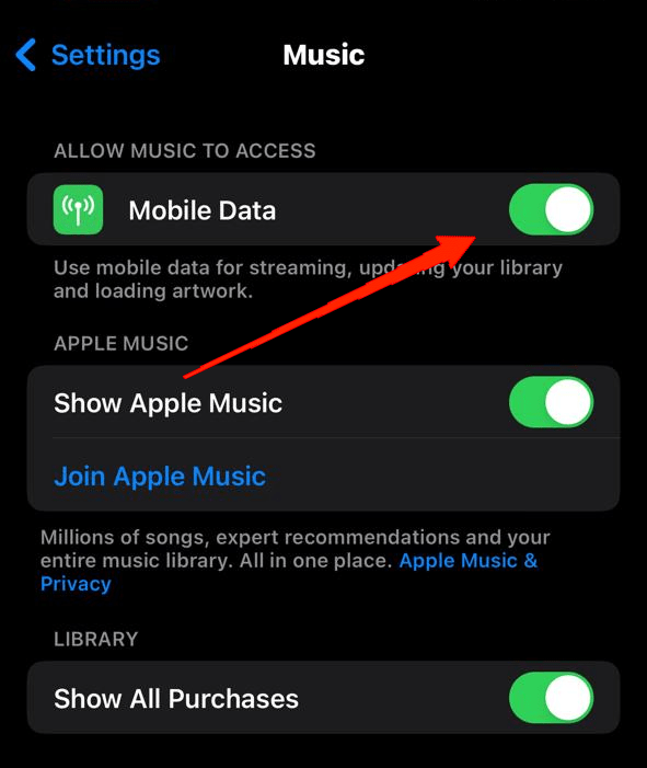 enable the toggle next to Mobile Data