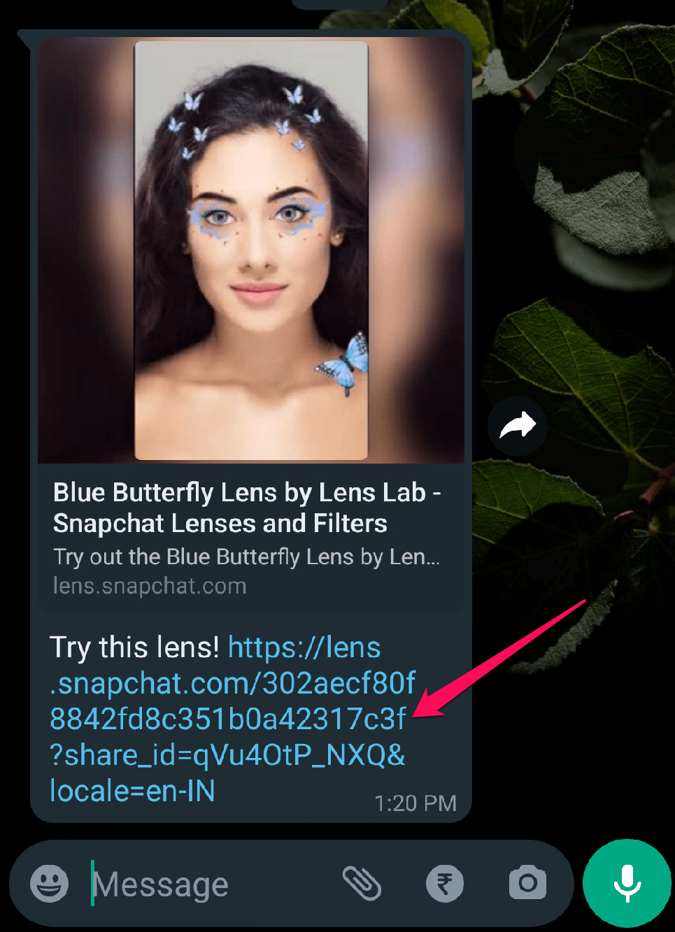 How to Unlock the Butterflies Lens on Snapchat? 2