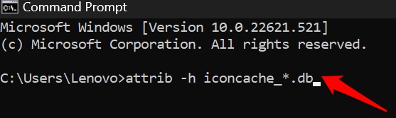 attrib icon cache command