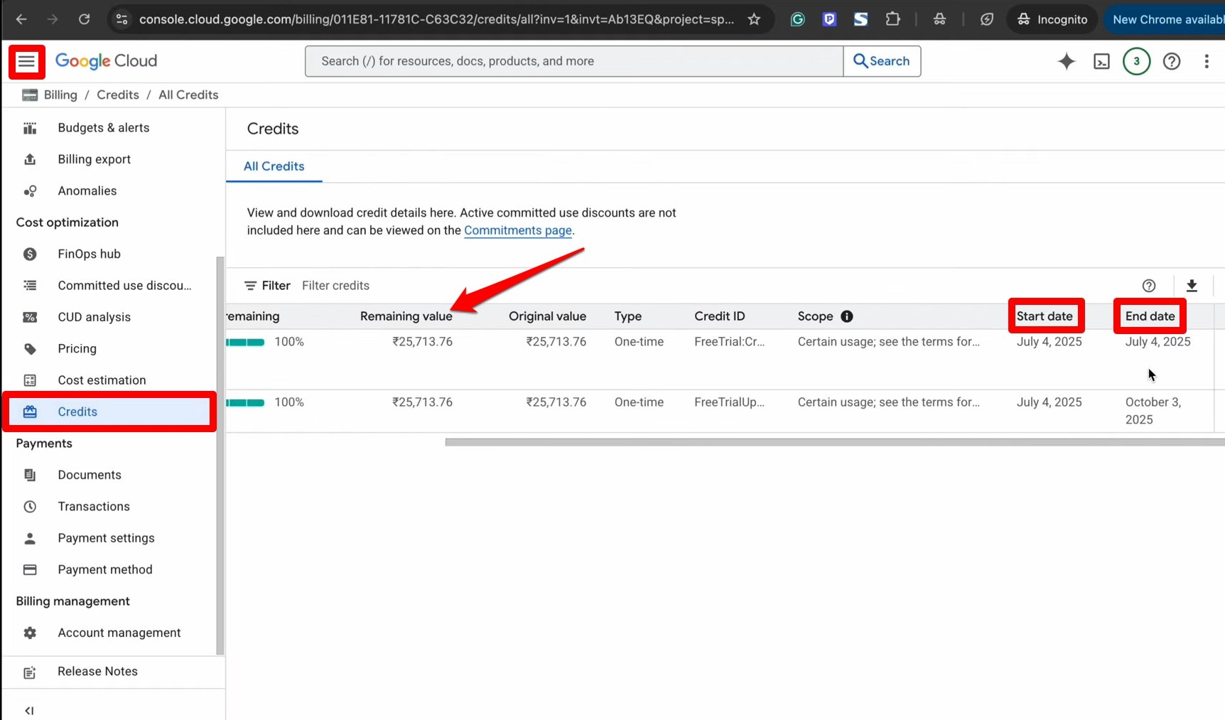 check credit status on Google cloud