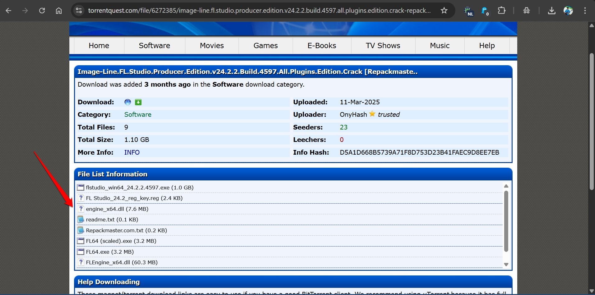 check for files in the torrent